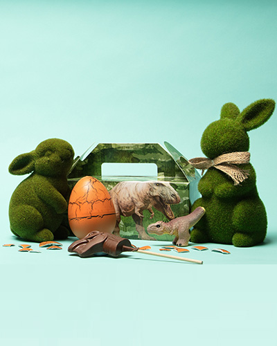 The T. rex chocolate lolly, hatching egg, hatching egg toy and gift box are styled with rabbit models covered in fake grass.