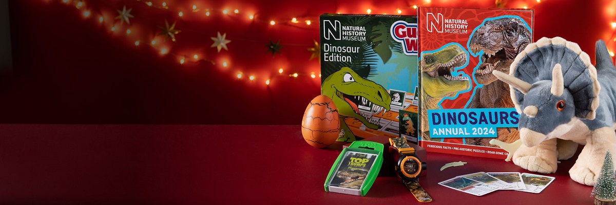 Dinosaur-themed board games and a Triceratops soft toy