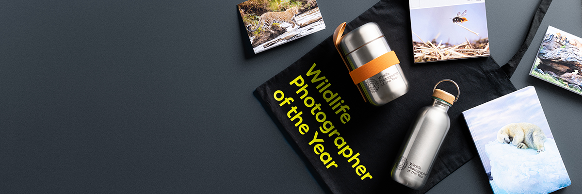 Wildlife Photographer of the Year tote bag, water bottle, food flask, postcards and notebook shot from overhead on a dark grey background.
