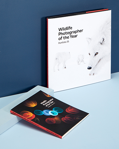 Two books about the Wildlife Photographer of the Year competition are styled on a blue background.