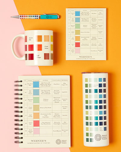 Stationery and homeware items decorated in different colour-palette grids.